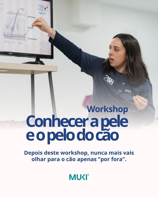Workshop: Conhecer a pele e o pelo do cão | DATA: 2 DE ABRIL DE 2026