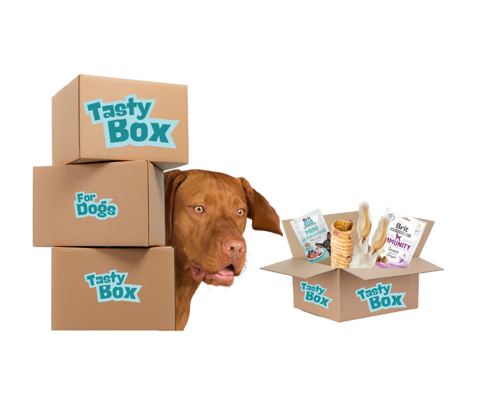 Tasty Box