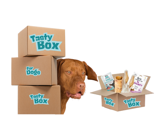 Tasty Box