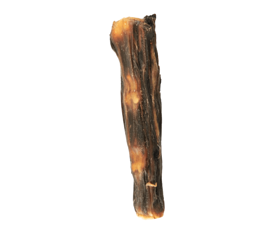Rabo de Touro | 23 cm