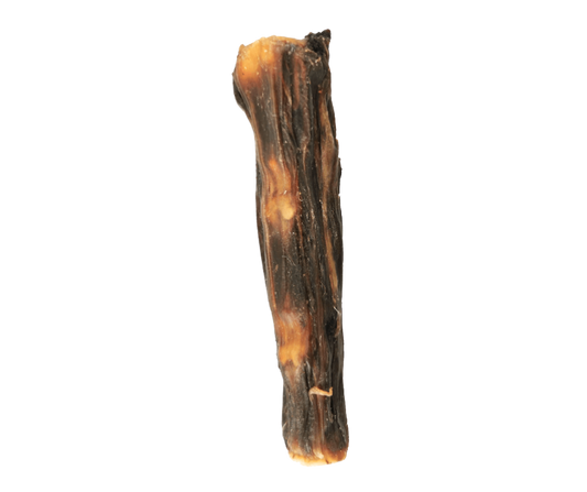 Rabo de Touro | 23 cm