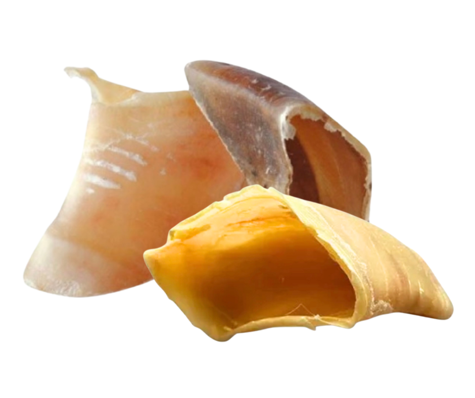 Cascos de bovino | unidade