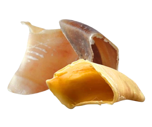Cascos de bovino | unidade