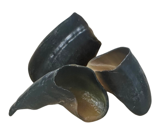 Cascos de búfalo | unidade